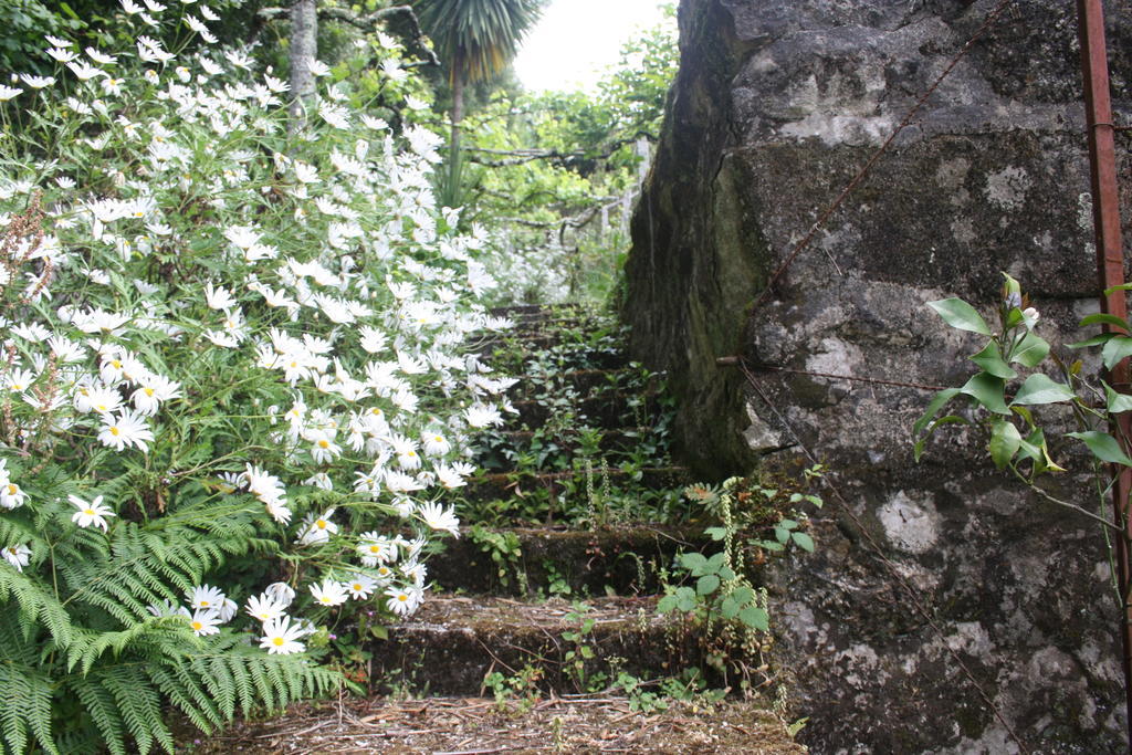 Quinta Das Leiras Santo Tirso Zewnętrze zdjęcie