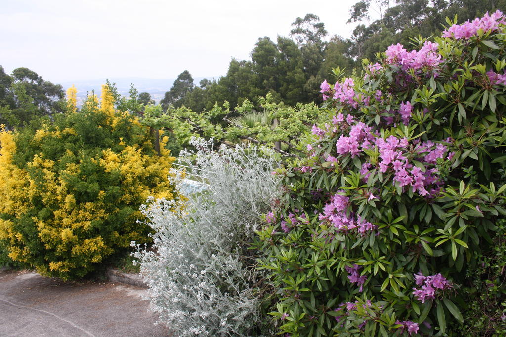 Quinta Das Leiras Santo Tirso Zewnętrze zdjęcie