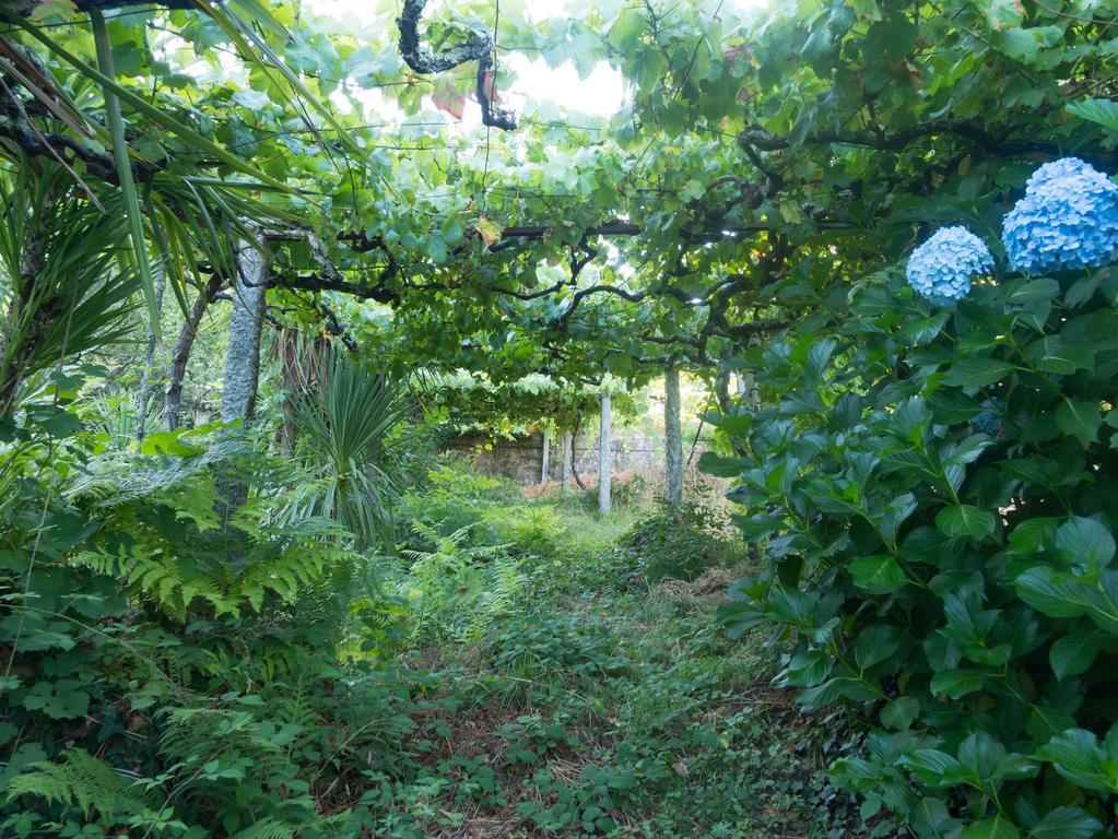 Quinta Das Leiras Santo Tirso Zewnętrze zdjęcie