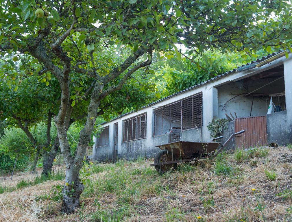 Quinta Das Leiras Santo Tirso Zewnętrze zdjęcie